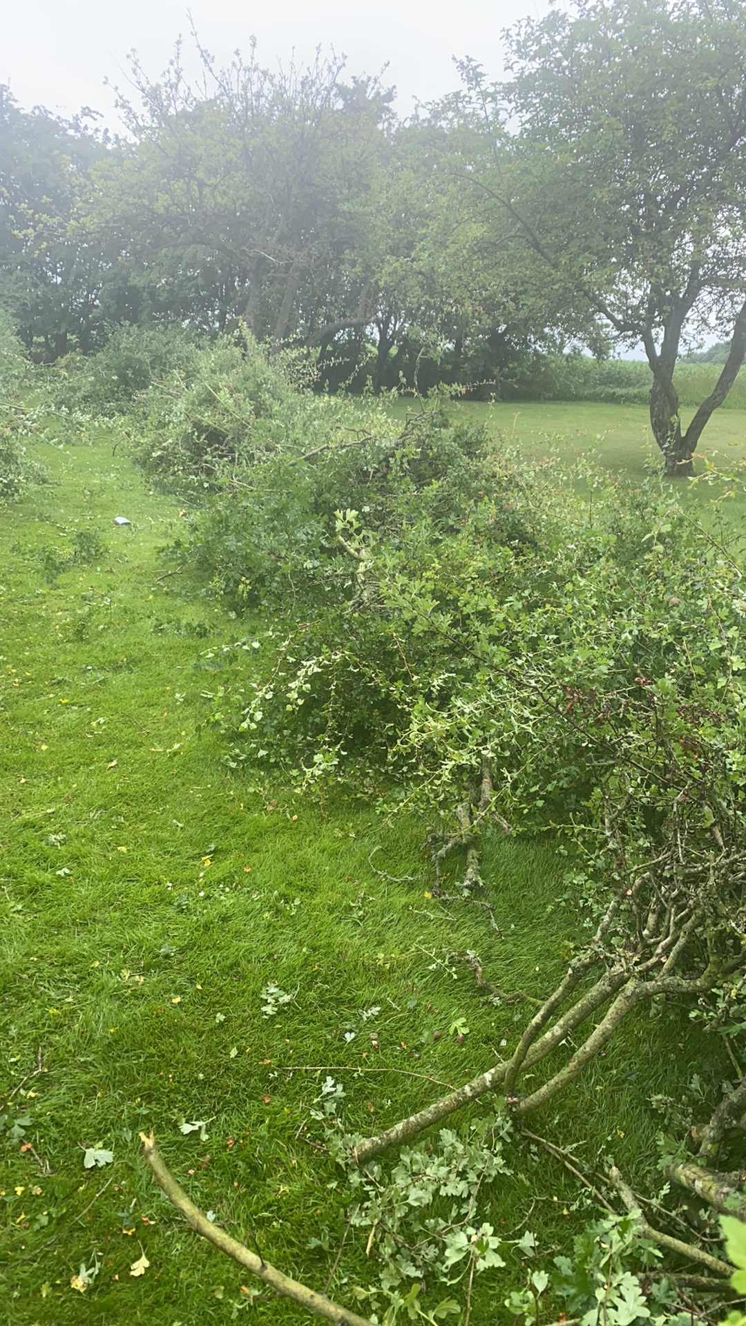 Oprydning af udendørs arealer